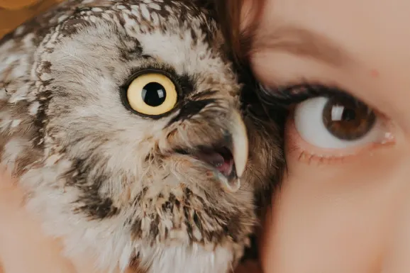 ベティトール カジノ サポート